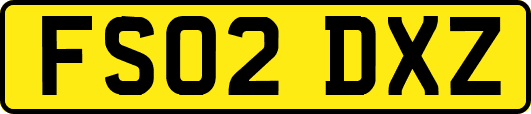 FS02DXZ