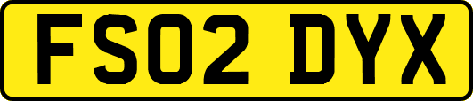 FS02DYX