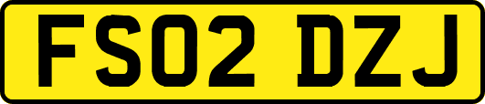 FS02DZJ