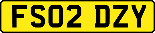 FS02DZY