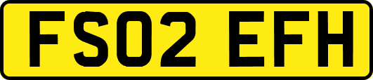 FS02EFH