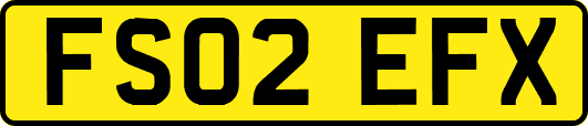 FS02EFX