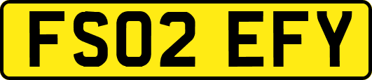 FS02EFY