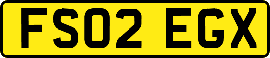 FS02EGX
