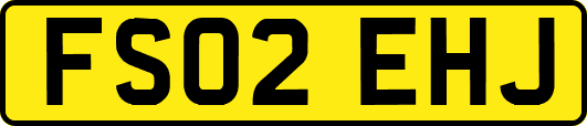 FS02EHJ
