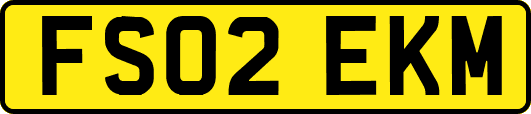 FS02EKM