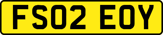 FS02EOY
