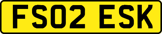 FS02ESK