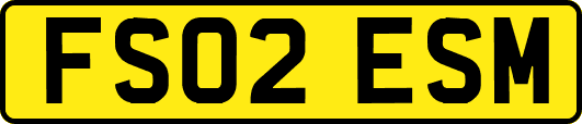 FS02ESM