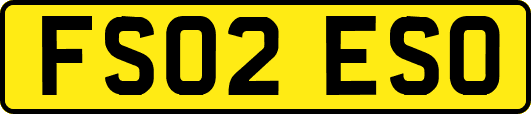 FS02ESO