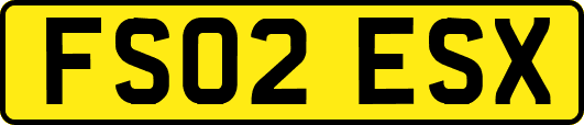 FS02ESX