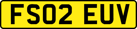 FS02EUV