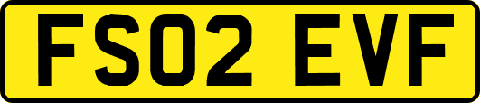 FS02EVF