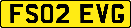 FS02EVG