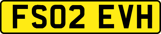 FS02EVH