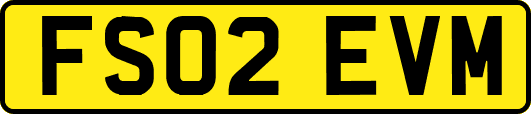 FS02EVM
