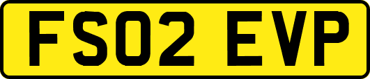 FS02EVP