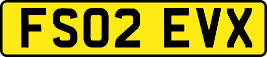 FS02EVX