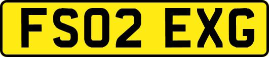 FS02EXG