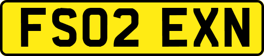 FS02EXN