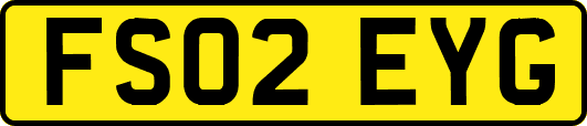 FS02EYG