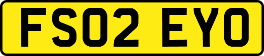 FS02EYO