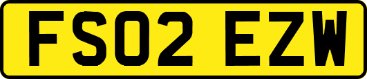 FS02EZW