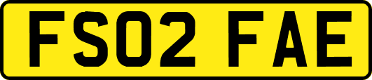 FS02FAE