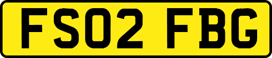 FS02FBG