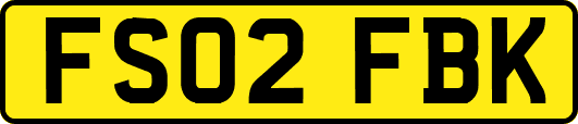 FS02FBK
