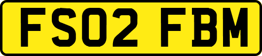 FS02FBM