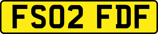 FS02FDF