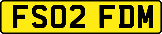 FS02FDM