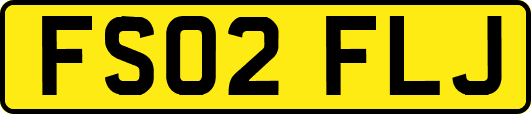 FS02FLJ