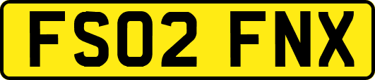 FS02FNX
