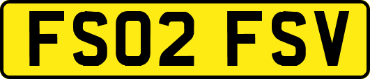 FS02FSV