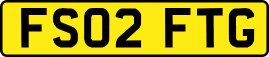 FS02FTG