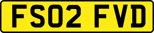 FS02FVD