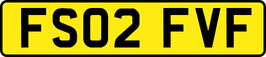FS02FVF