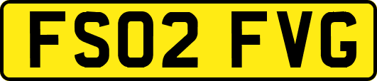 FS02FVG
