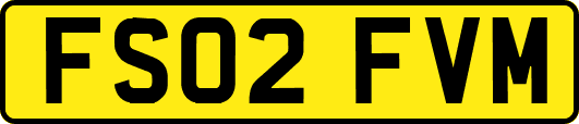 FS02FVM