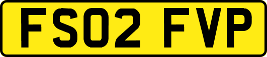 FS02FVP
