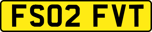 FS02FVT