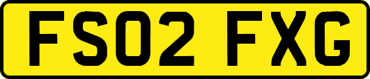 FS02FXG