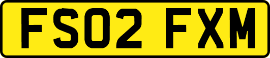 FS02FXM
