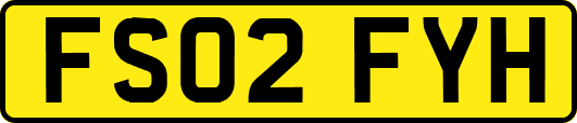 FS02FYH