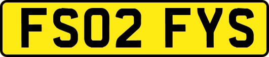 FS02FYS