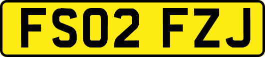 FS02FZJ