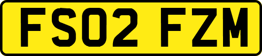 FS02FZM