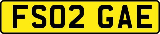 FS02GAE